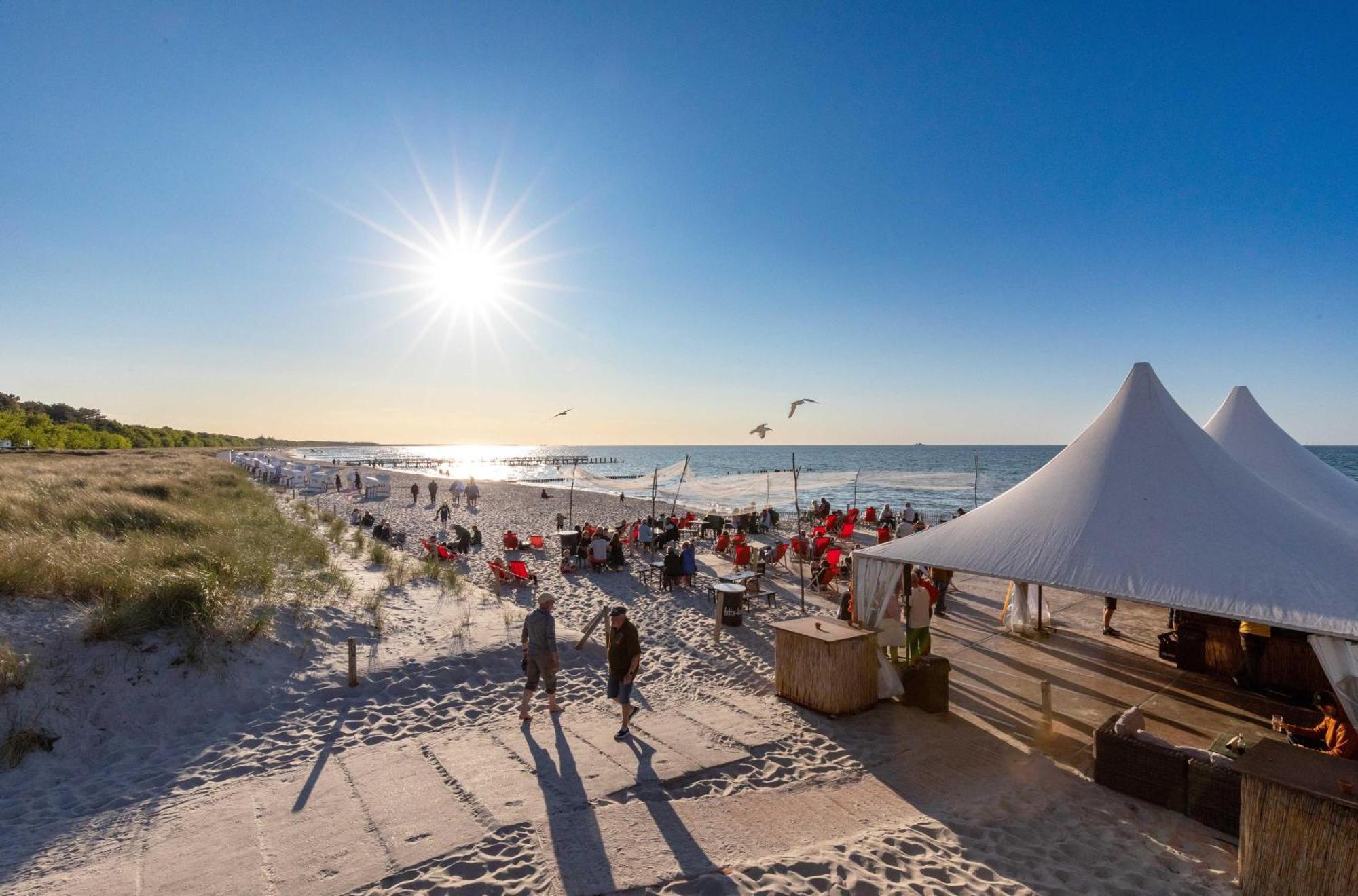 Strandhafer An Der Seebruecke Zingst Exteriör bild
