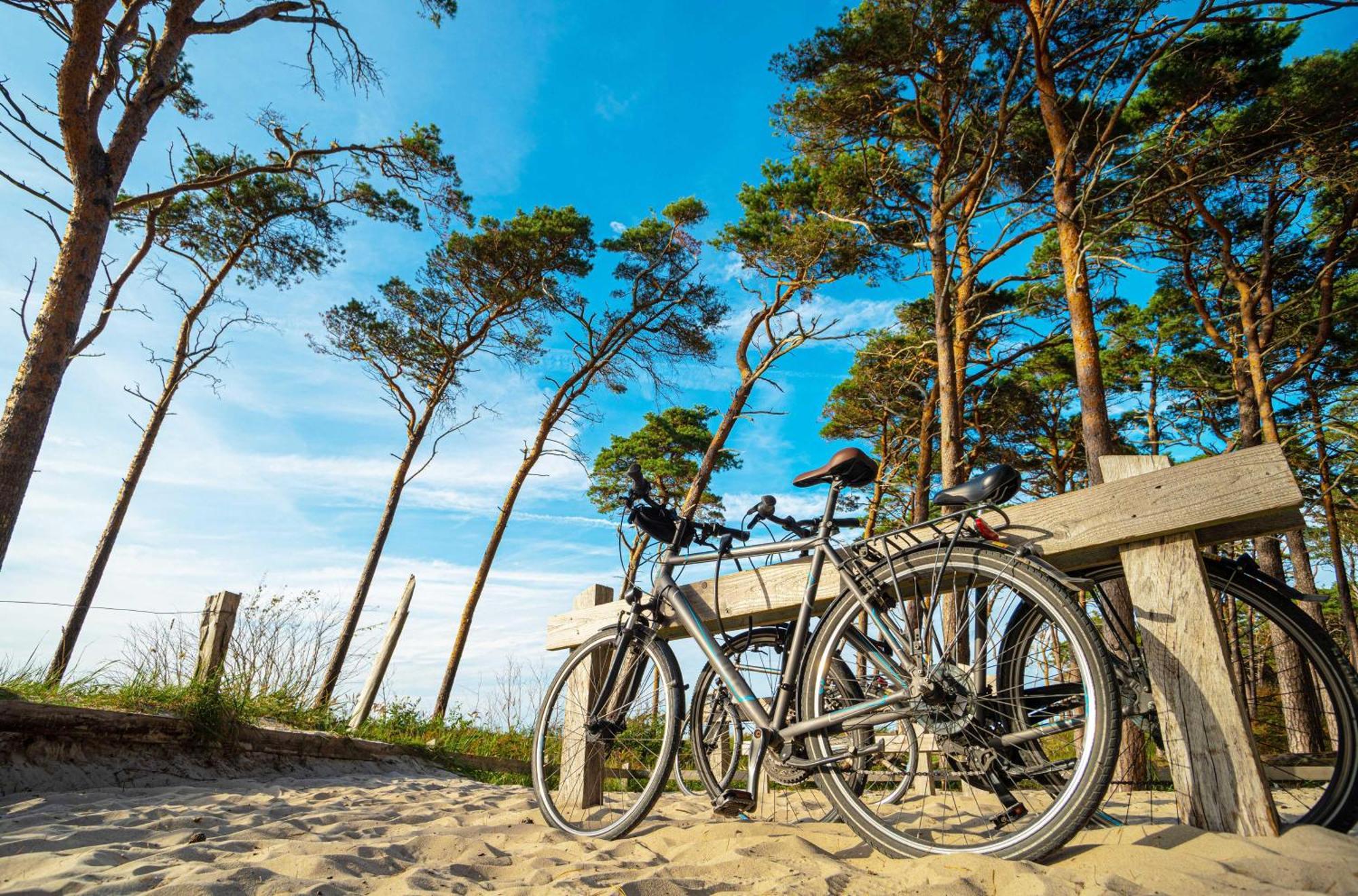 Strandhafer An Der Seebruecke Zingst Exteriör bild