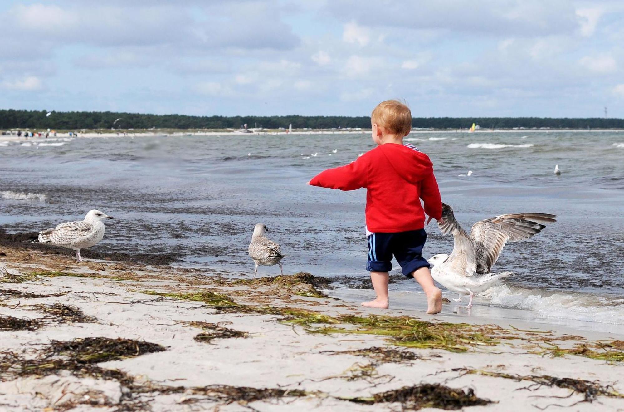 Strandhafer An Der Seebruecke Zingst Exteriör bild